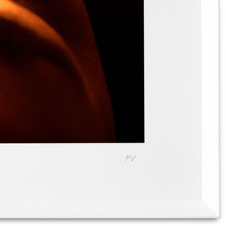 Grafika Philippe Vogelenzang - Dawn Eichholtz