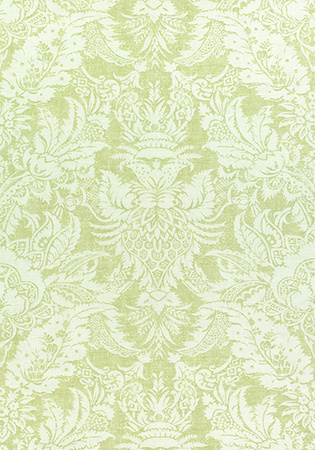 Tapeta CHESTNUT HILL CHARDONNET DAMASK  Printed Fabrics - Thibaut - My Honey Home