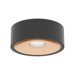 Oprawa natynkowaNeo Nero Slim LED / Ufo Gold