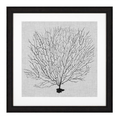 Grafika Shadow Sea Fans zestaw 4 szt. Eichholtz - My Honey Home