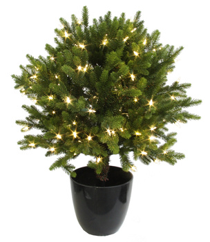 OZDOBNA JODŁA W DONICZCE 150LED - 75CM - SHISHI - MY HONEY HOME