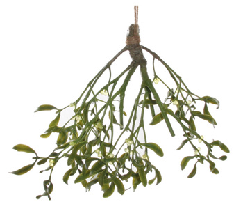 DEKORACJA ŚWIĄTECZNA JEMIOŁA - 40 CM - SHISHI – MY HONEY HOME